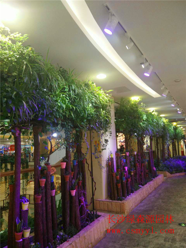 湖南植物墻