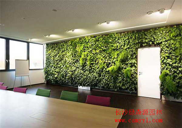 長沙植物墻
