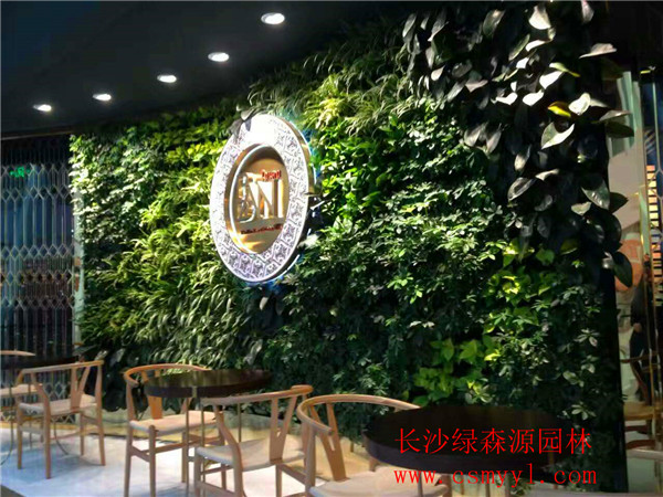 湖南植物墻