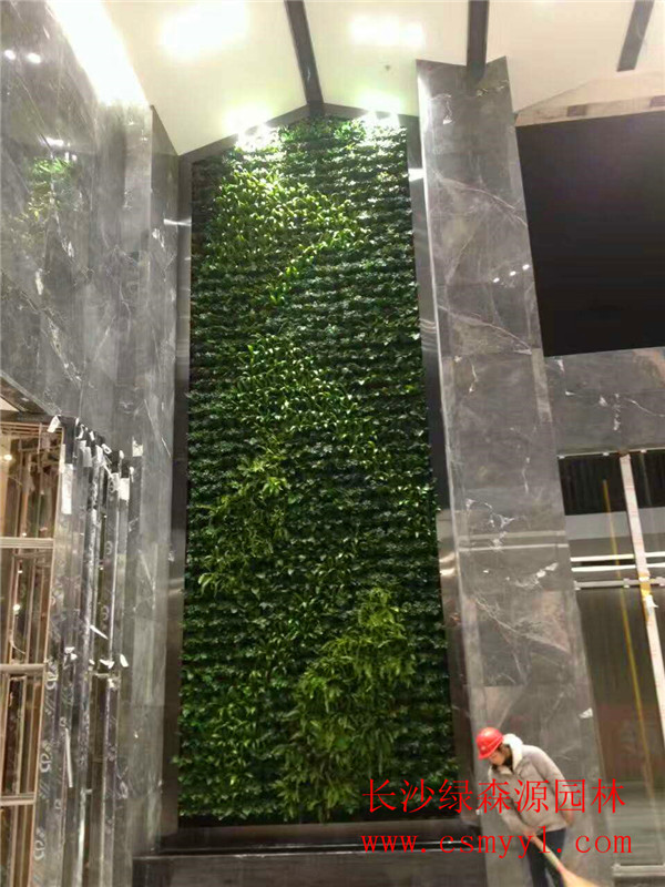 長沙植物墻