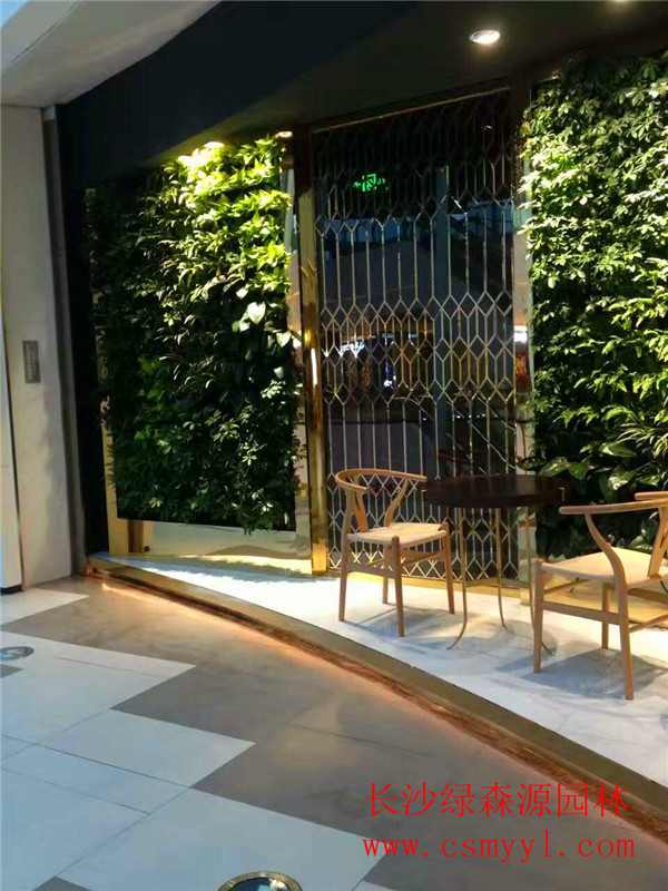 長沙植物墻