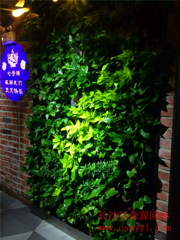 長沙植物墻