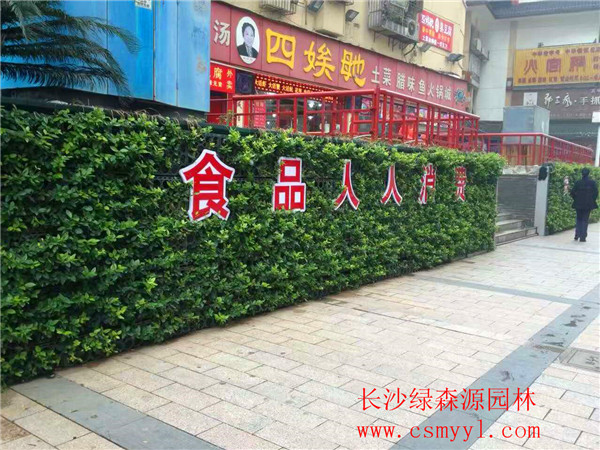 湖南植物墻