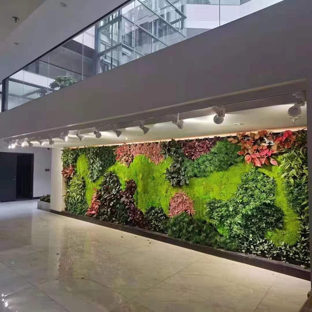 常德金盤子.云中樾營(yíng)銷中心綠植裝飾