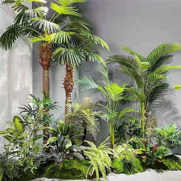 熱帶雨林植物造景