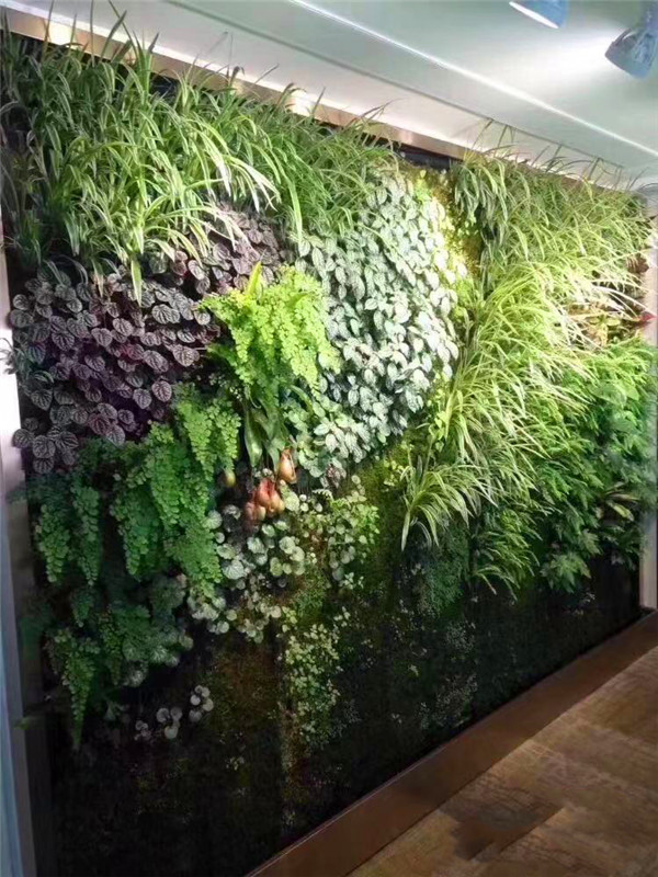 公司植物墻屏風