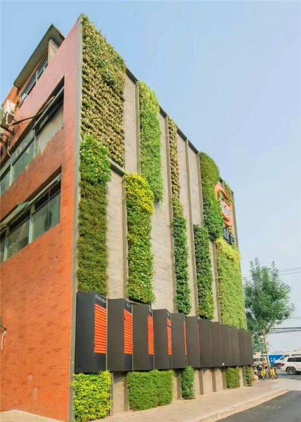 廢舊工廠植物墻改造