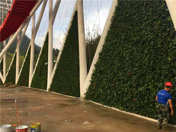 會展中心植物墻