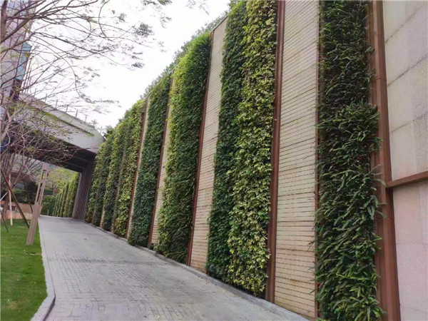 文化藝術中心植物墻