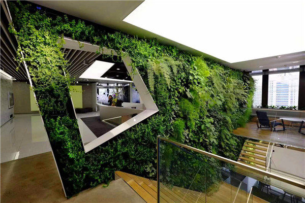 建筑設計中心植物墻
