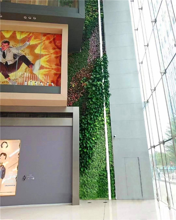 寫字樓大堂植物墻