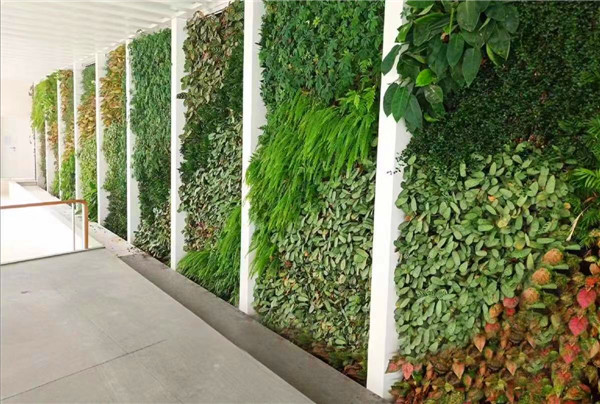 美術館植物墻展示