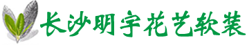 長沙明宇花藝軟裝有限公司